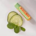 Burt's Bees Cucumber & Mint Lip Balm Tube 4.25g