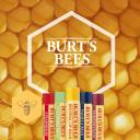 Burt's Bees Cucumber & Mint Lip Balm Tube 4.25g