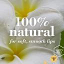 Burts Bees 100% Natural Moisturizing Lip Balm, Vanilla Bean - 4 Tubes