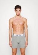 Calvin Klein 3 Pack of Cotton Stretch Boxer Briefs in Multi
