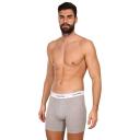 Calvin Klein Gray Underwear