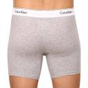 Calvin Klein Gray Underwear