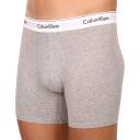 Calvin Klein Gray Underwear