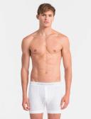 Calvin Klein Men's Trunk Underwear 3 Pack - White - Size Large