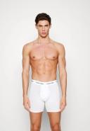 Calvin Klein - Mens 3 Pack Boxer Briefs 2.0 in Multi - S