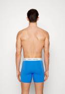 Calvin Klein - Mens 3 Pack Boxer Briefs 2.0 in Multi - S