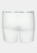 Calvin Klein Plus 3 Pack Cotton Stretch Boxer Briefs in Multi