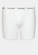 Calvin Klein Plus 3 Pack Cotton Stretch Boxer Briefs in Multi