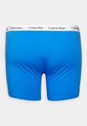 Calvin Klein Plus 3 Pack Cotton Stretch Boxer Briefs in Multi