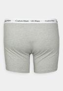 Calvin Klein Plus 3 Pack Cotton Stretch Boxer Briefs in Multi