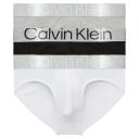Calvin Klein Steel 3 Pack Cotton Briefs in Multi