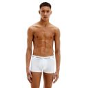 Calvin Klein - U2664g White / XL