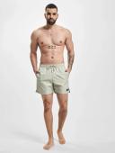 Calvin Klein Underwear Board Shorts Male Size M