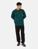 Carhartt Chase Mens Long Sleeve T-Shirt - Botanic / Gold