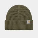 Carhartt WIP Burbank Beanie One Size Seaweed