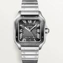 Cartier Santos de Cartier Lm Wrist Watch Watch(Blue)
