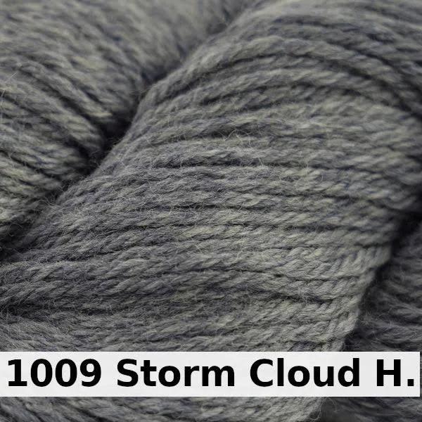 Cascade 220 - Storm Cloud Heather (1009)