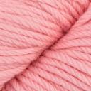 Cascade 220 Superwash Aran - Strawberry Ice (507)