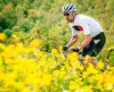 Castelli Prologo 7 Jersey - Savile Blue/Silver Grey/Red