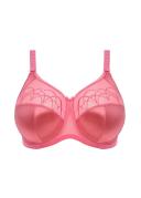 Cate - Fashion Colourway - Bras - Elomi