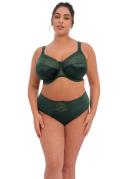 Cate - Fashion Colourway - Bras - Elomi