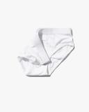 CDLP Y-Brief - White
