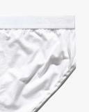 CDLP Y-Brief - White