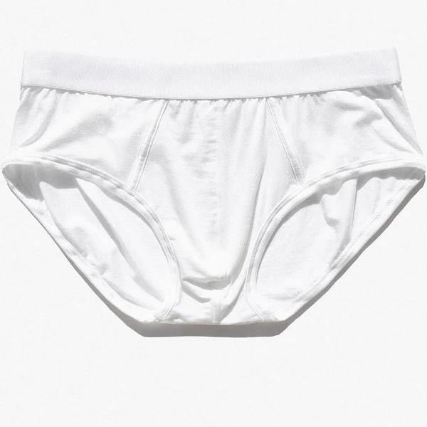 CDLP Y-Brief - White