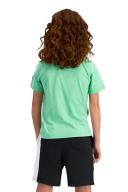 Champion Junior Script Short Sleeve Tee - Mint Frostini