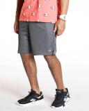 Champion Men's Long Mesh Short