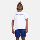 Champion Men's Tee Shirt Purple Classic Logo Tee XL