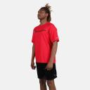 Champion Men's Tee Shirt Scarlet Logo Classic Tee XXL