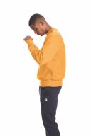Champion Reverse Weave Crew - Grey