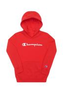 Champion Script Hoodie Vermilion