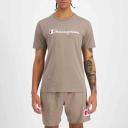 Champion Script Short Sleeve Tee in Mint XL