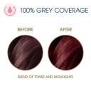 Clairol Nice' N Easy Permanent Hair Dye 4R Dark Auburn