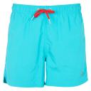 Classic Fit Swim Shorts M / Pale Aloe Vera / Green
