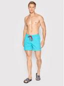 Classic Fit Swim Shorts M / Pale Aloe Vera / Green