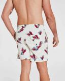 Coast Clothing Co Wilsons Prom Boardshorts Cream S