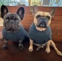 Coco & Pud Cable Dog Sweater - Slate Grey