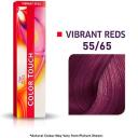 Color Touch Rich 10/81 Lightest Blonde Pearl Ash - 60g