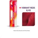 Color Touch Rich 10/81 Lightest Blonde Pearl Ash - 60g