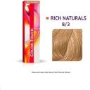 Color Touch Rich 10/81 Lightest Blonde Pearl Ash - 60g