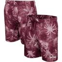 Colosseum Scarlet Nebraska Huskers What Else Is New Swim Shorts