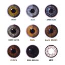 Coloured Contacts Dark Grey Two Tone 90 Day Natural Contact Lenses