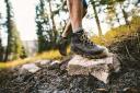 Columbia Men's Newton Ridge Plus II Suede Waterproof Boot Hiking