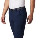 Columbia Mens Silver Ridge Cargo Pants - Fossil