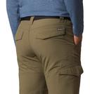 Columbia Mens Silver Ridge Cargo Pants - Fossil