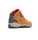 Columbia Women's Newton Ridge Plus Waterproof Amped Hiking Shoe