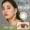Contact Lens Japan Daily P-2.25 | Merry Seasons LARME #Mist Vert 10pcs
